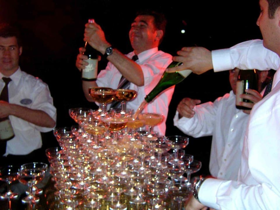 Die Oberkellner arbeiten für uns Papillon Ayscha