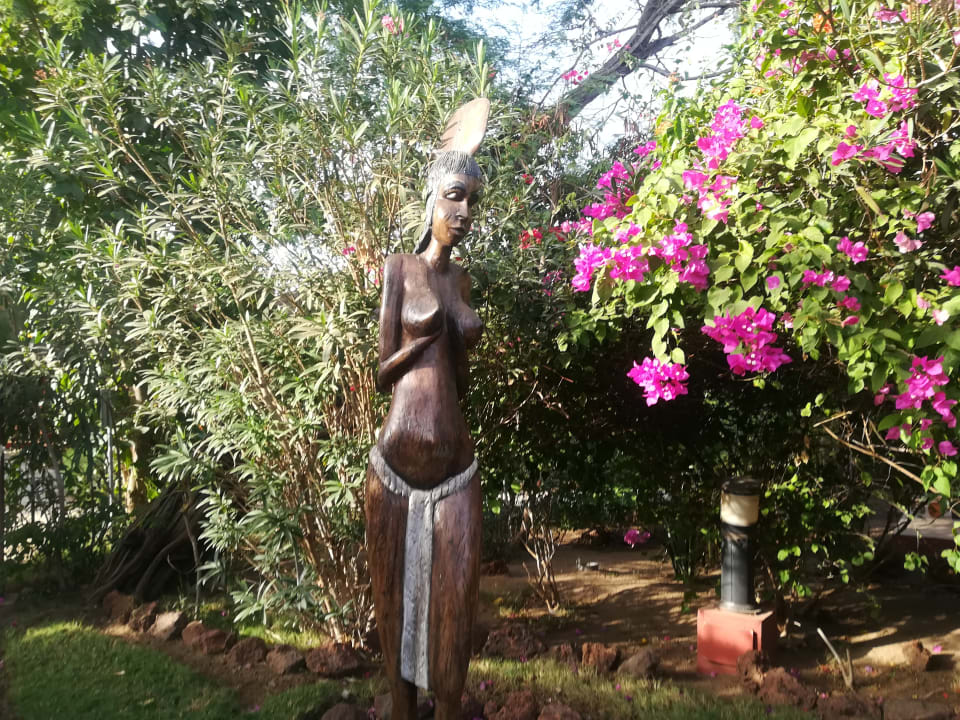 Gartenanlage Royal Horizons Baobab