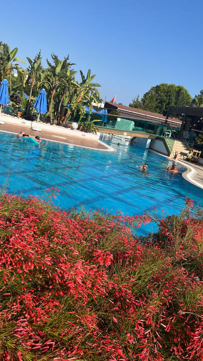 Pool Sentido Trendy Verbena Beach