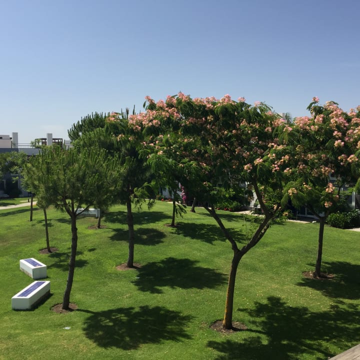 Gartenanlage ROBINSON QUINTA DA RIA