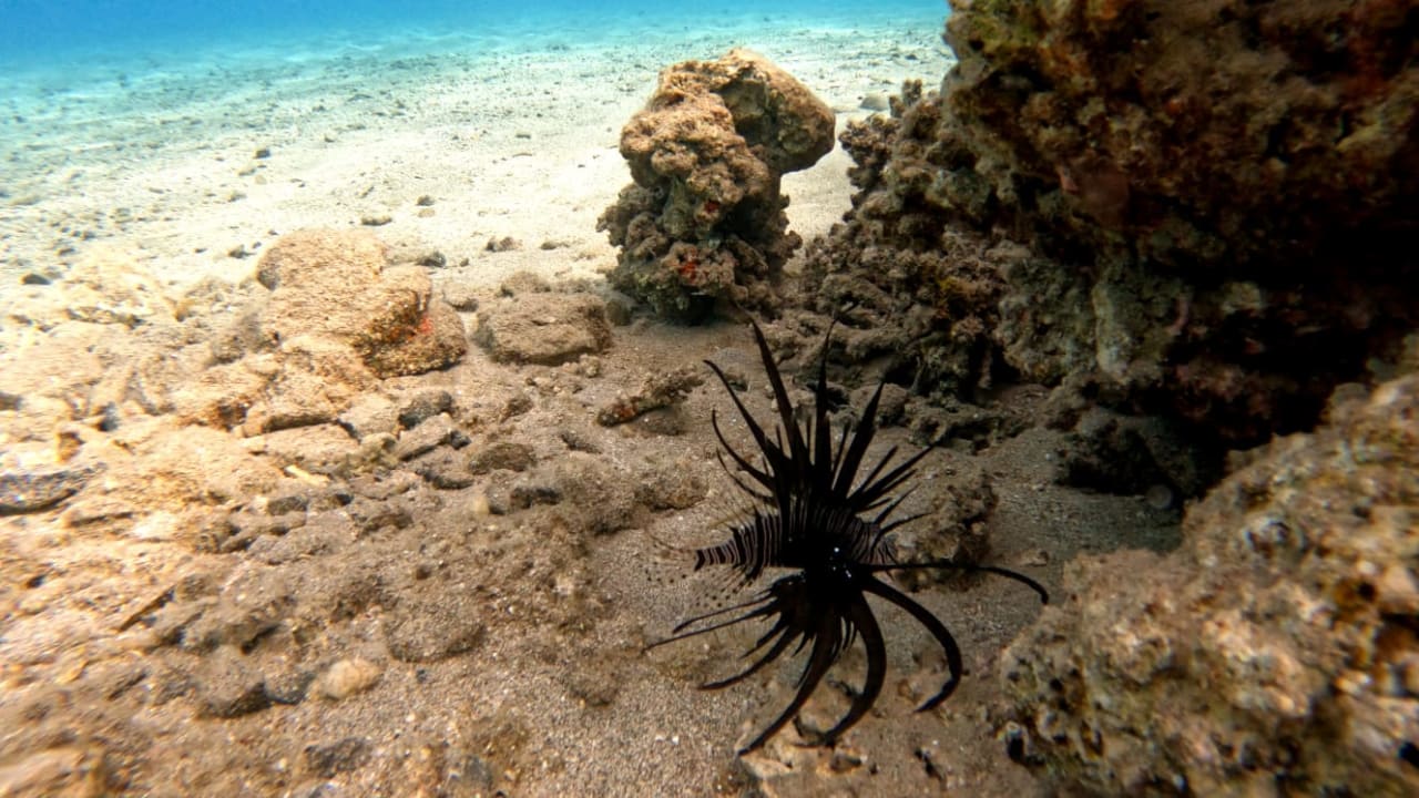 Strand Three Corners Equinox Beach Resort