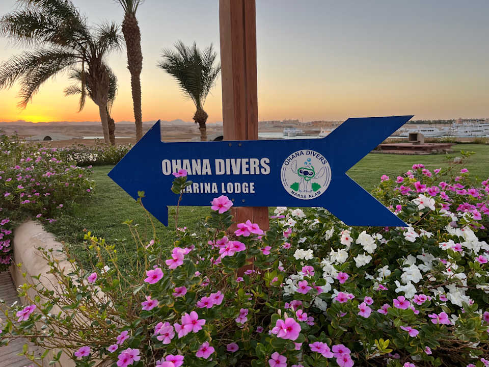 Gartenanlage Marina Lodge At Port Ghalib