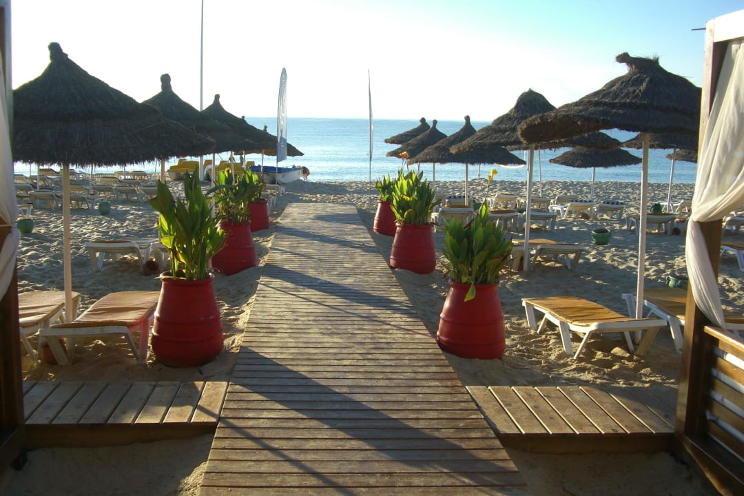 Der Starnd am Morgen Hotel Royal Nozha