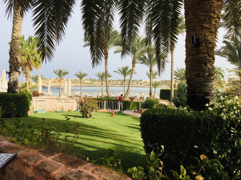 Garten Steigenberger Coraya Beach - Adults only