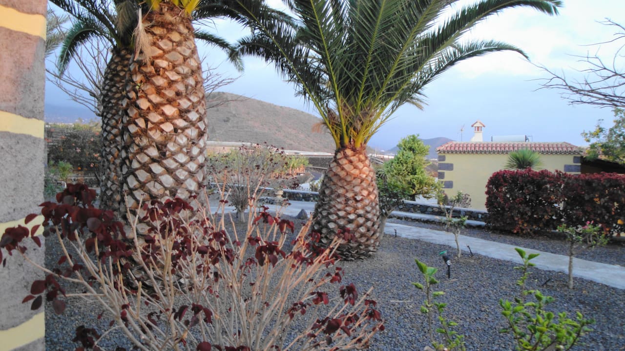 Einfahrt Finca Marina BuenVivir