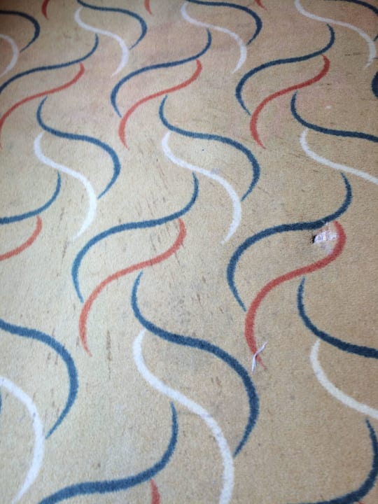 Dreckiger Teppichboden Holiday Park Resort