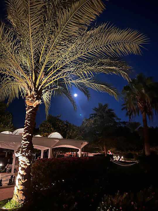 Ausblick Desert Rose