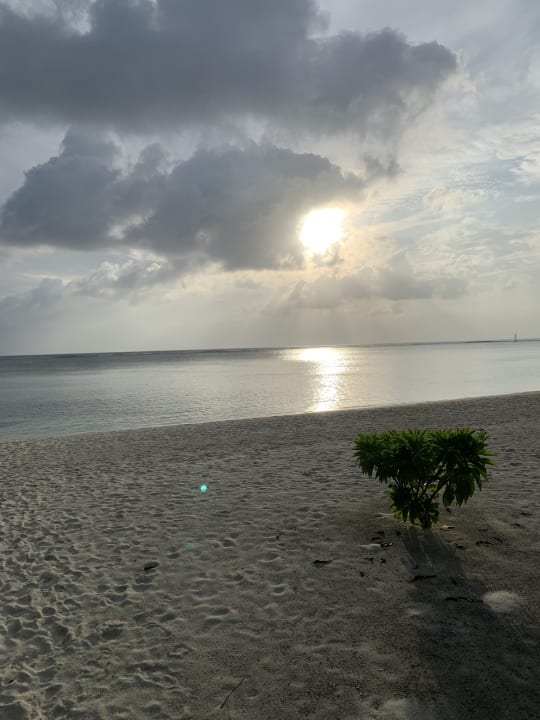 Ausblick Meeru Maldives Resort Island