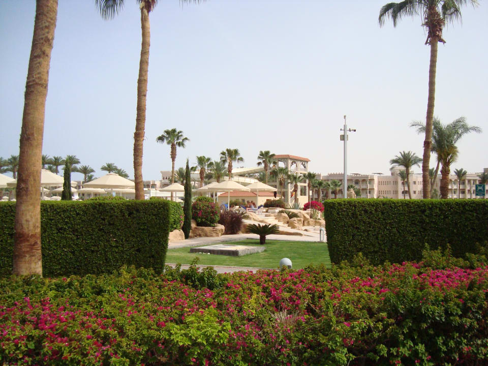 Gartenanlage Beach Albatros Resort