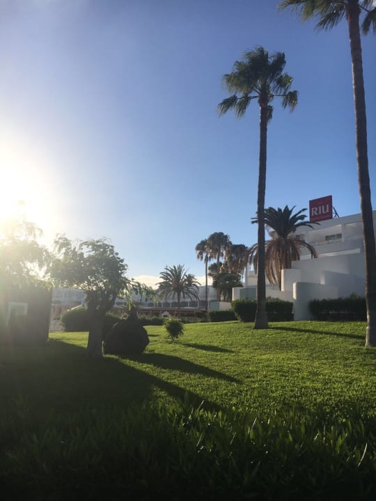 Gartenanlage Hotel Riu Paraiso Lanzarote