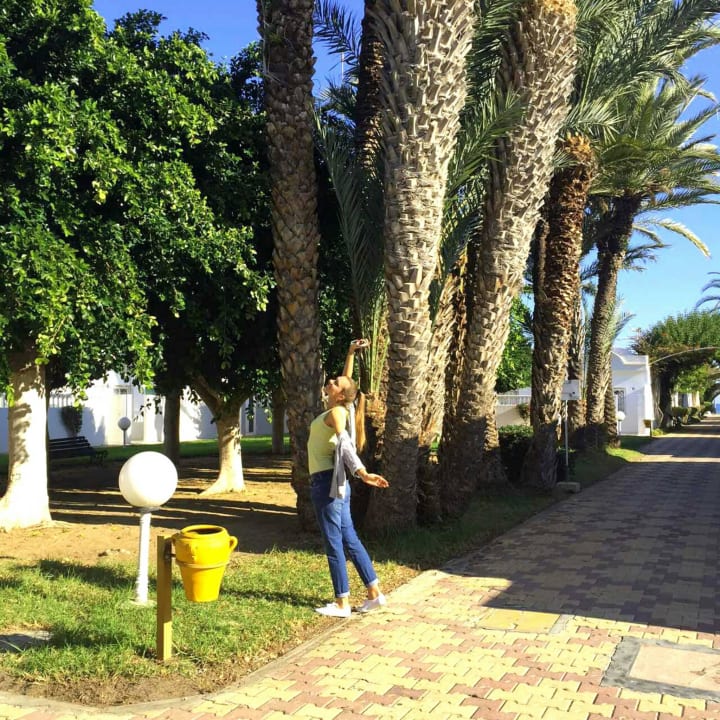 Солнечные ванны El Mouradi Club Kantaoui