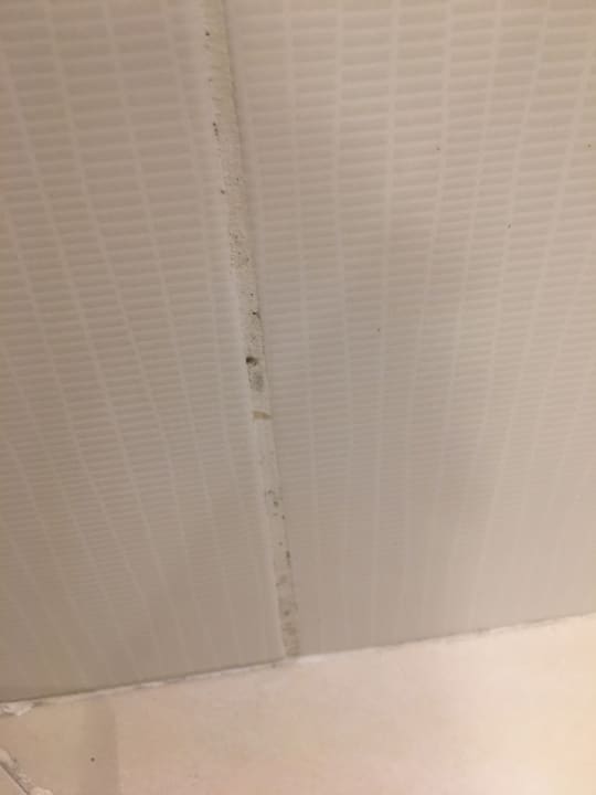 Zimmer Kamelya Aishen Club