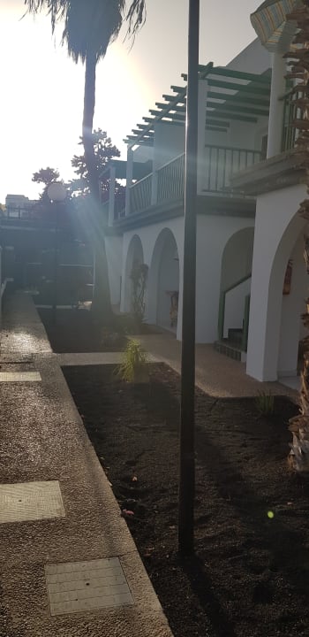 Gartenanlage Apartamentos Guacimeta