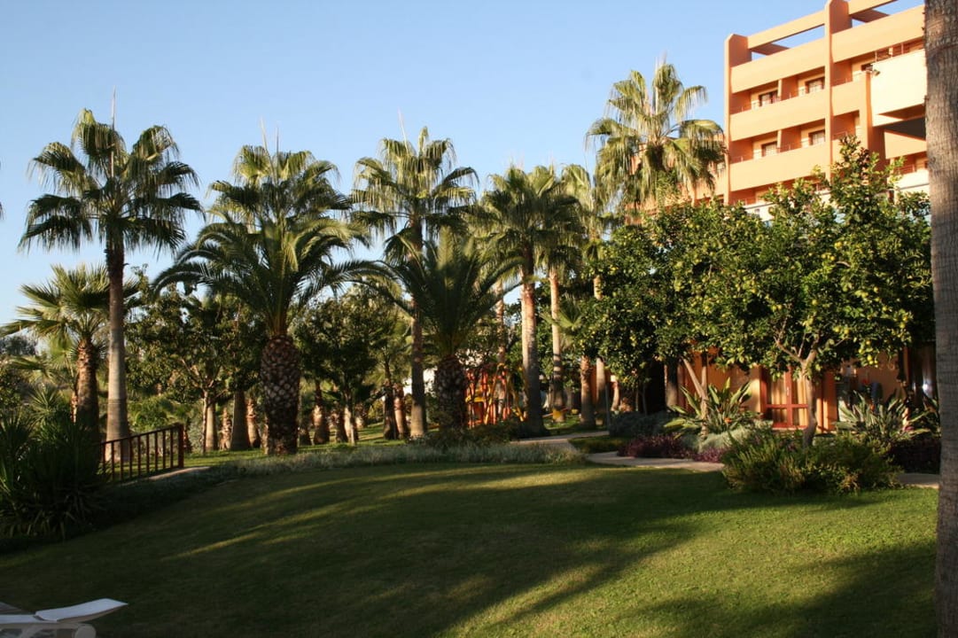 Garten mit Hotelansicht Hotel Grand Side