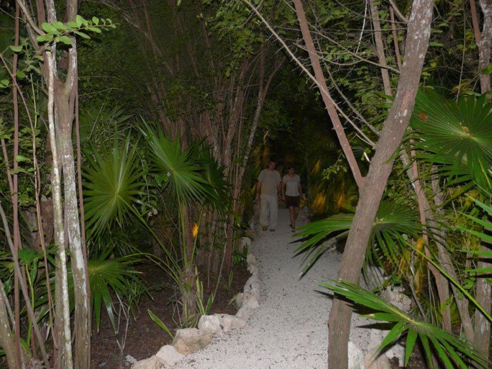 Zugang zum Tapas Restaurant und Bar Catalonia Royal Tulum Beach & Spa Resort - Adults only