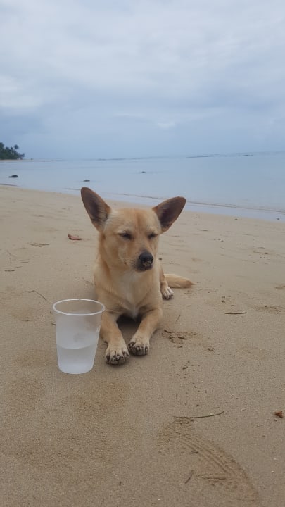 Strand Bahia Principe Grand El Portillo
