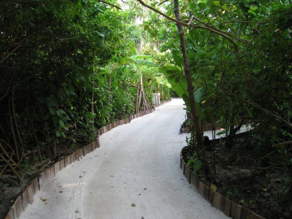 Wege über die Insel Sun Siyam Iru Fushi