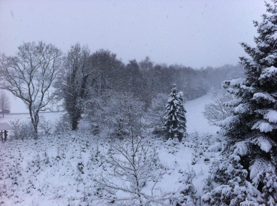 Ausblick vom Hotelzimmer Hotel Niedersächsischer Hof