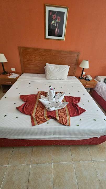 Zimmer Riviera Aqua Park Resort