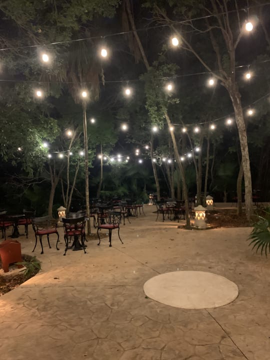 Gartenanlage Iberostar Selection Paraiso Lindo