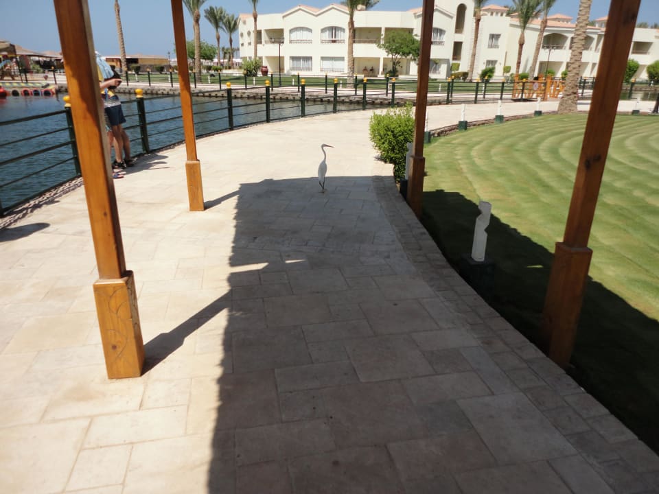 Am weg zum Strand Pickalbatros Dana Beach Resort - Hurghada