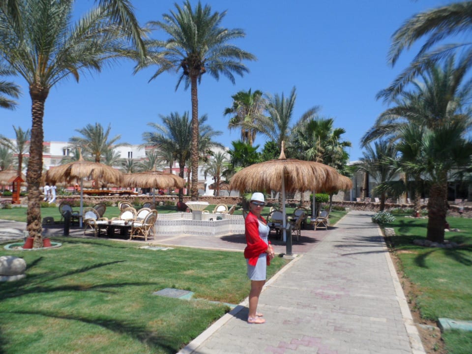 Территория Albatros Sharm Resort