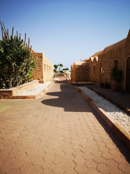 Ausblick Mövenpick Resort El Quseir