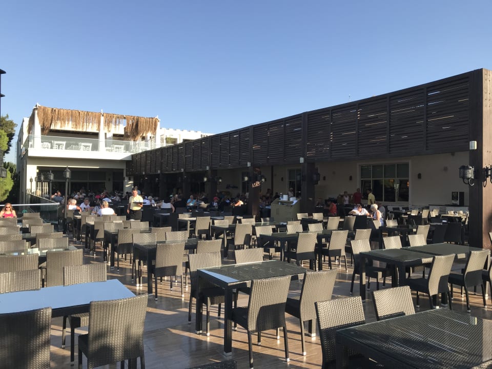 Gastro Paloma Oceana
