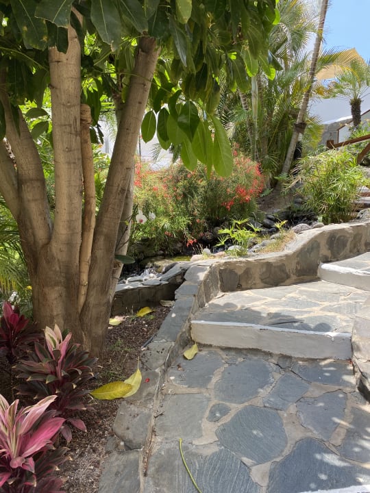 Gartenanlage allsun Hotel Lucana