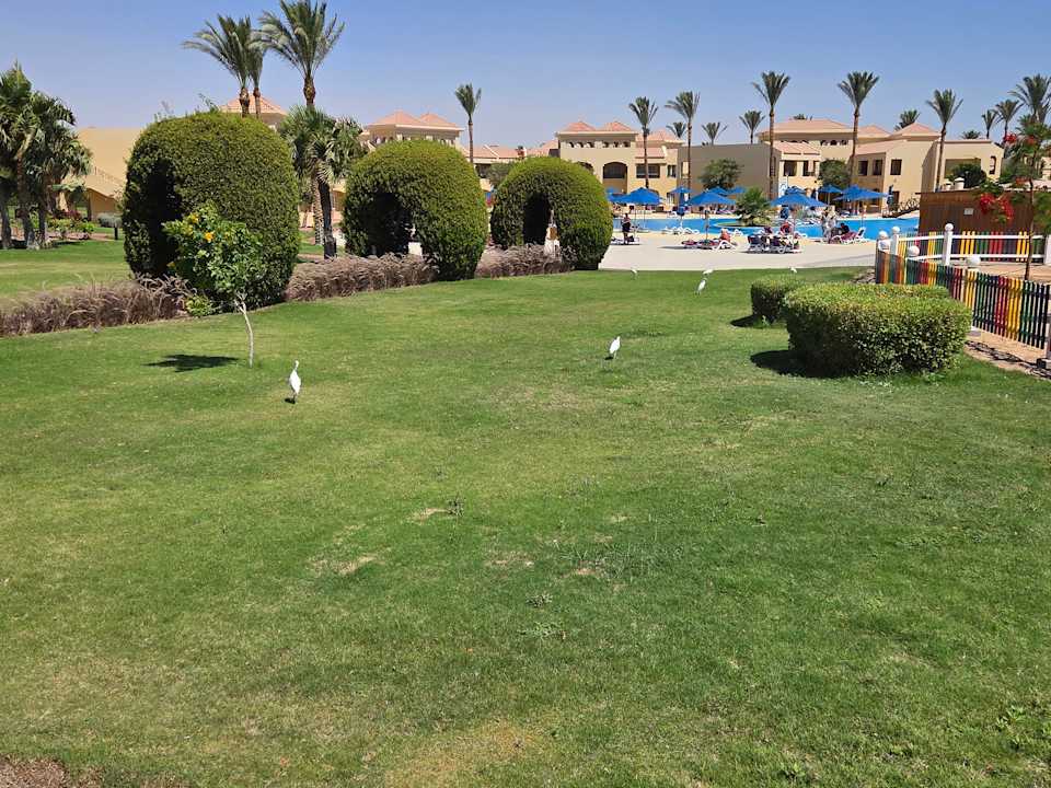 "Gartenanlage" Cleopatra Luxury Beach Resort Makadi Bay Adults only