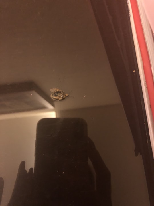 Zimmer RAMADA Plaza Hotel Beirut Raouche