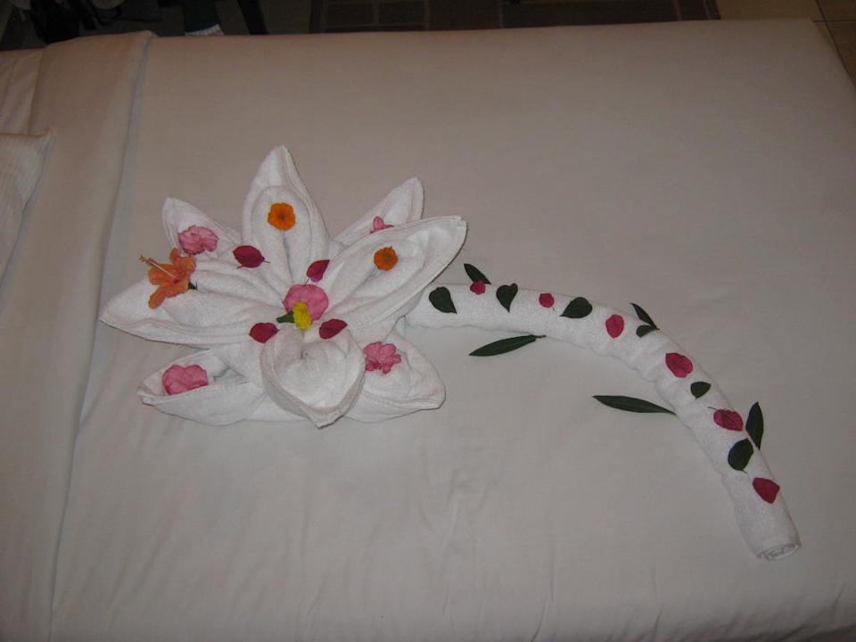 И в номере расцветают цветы Regency Plaza Aqua Park & Spa