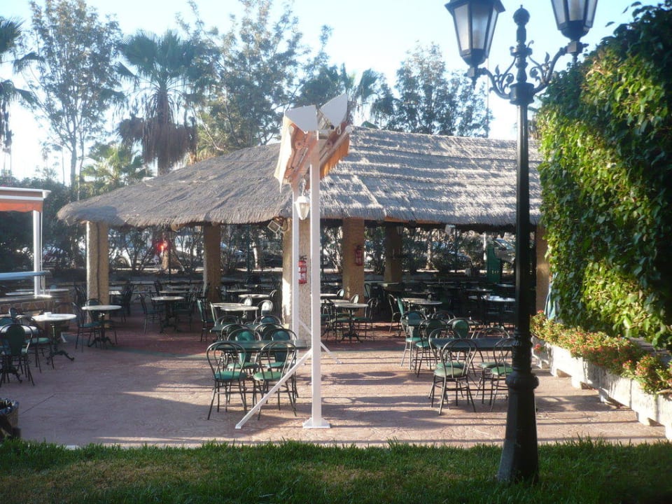 Bar mit Shows am Abend Ole Tropical Tenerife