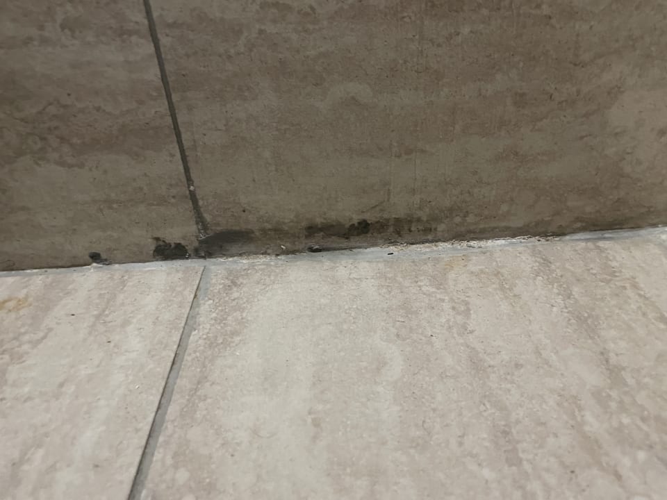 Zimmer Dream Fun World