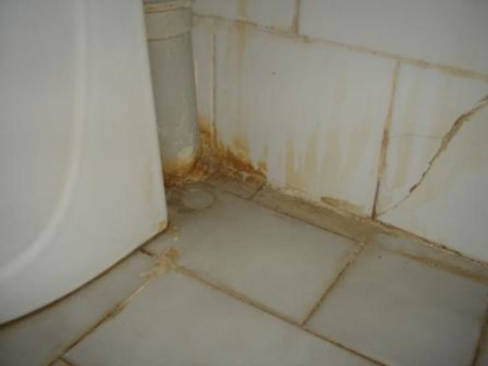 Hinter der Toilette Clover Magic Nova Beach