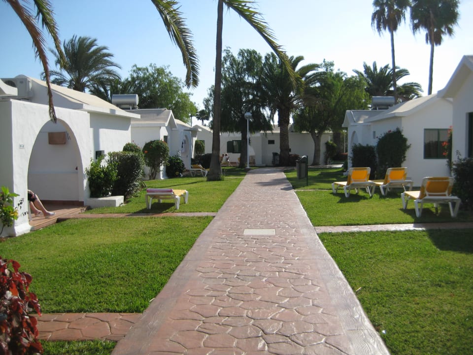 Gartenanlage Canary Garden Club