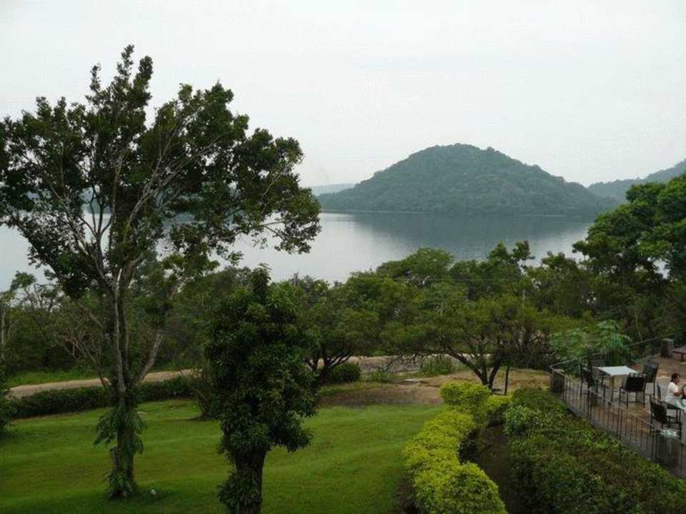 Widok z pokoju Hotel Royal Lotus