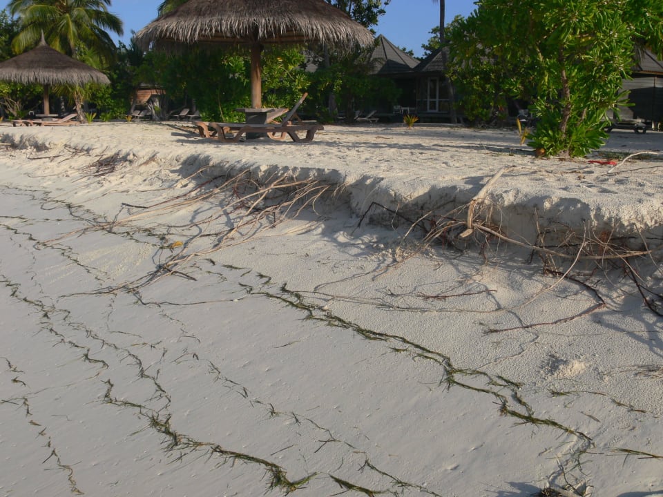 Koamas 100er Villen Kuredu Island Resort & Spa