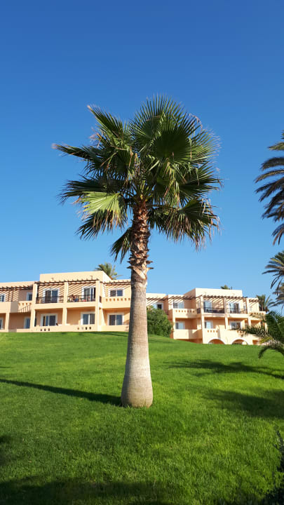 Gartenanlage Hotel Horizon Beach Resort