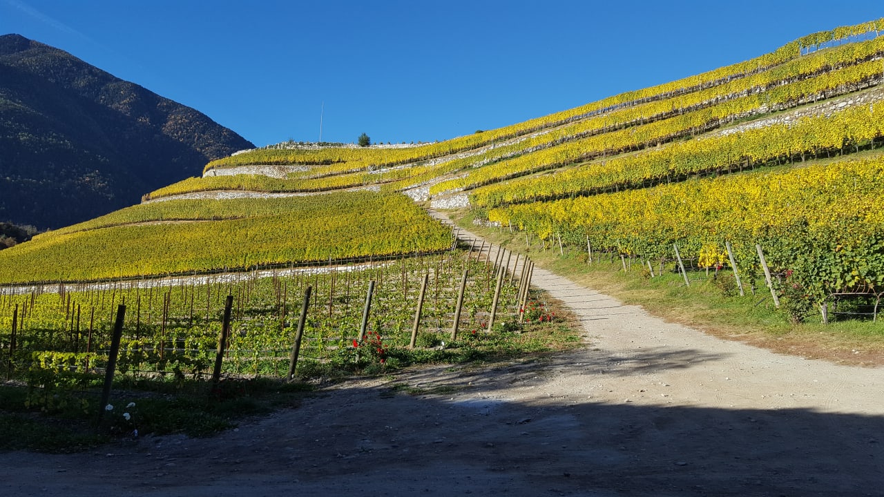 Gartenanlage Kloster Hotel Neustift