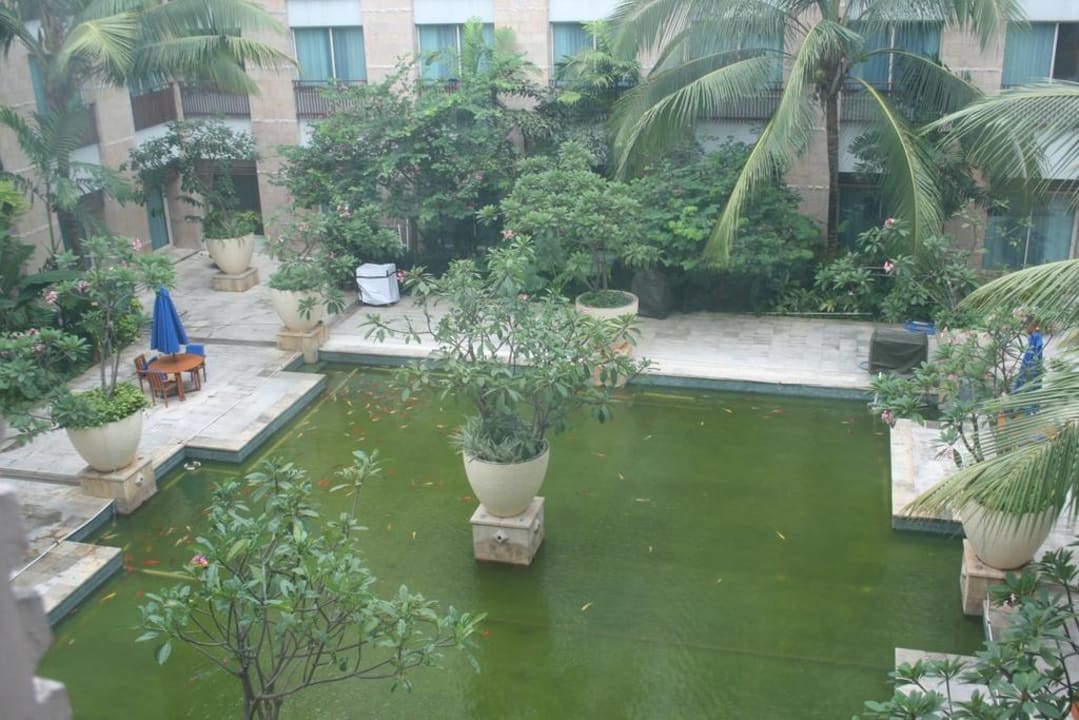 Koi- Paradise Novotel Jakarta Mangga Dua Square