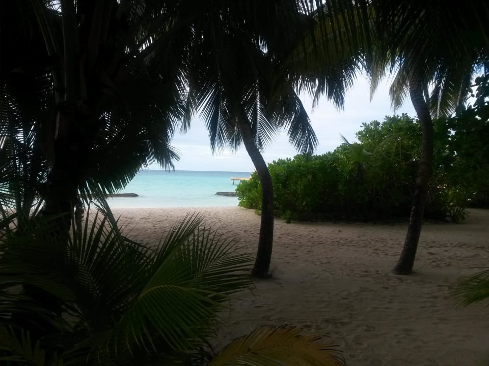 Strand  Kuramathi Maldives
