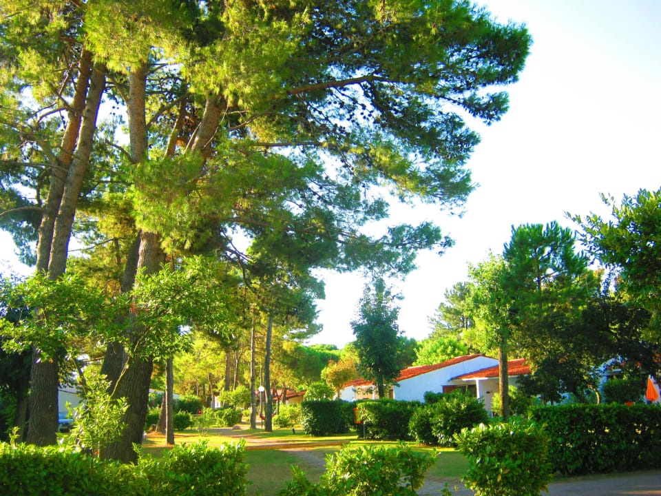 Anlage Villaggio Residence Punta Spin