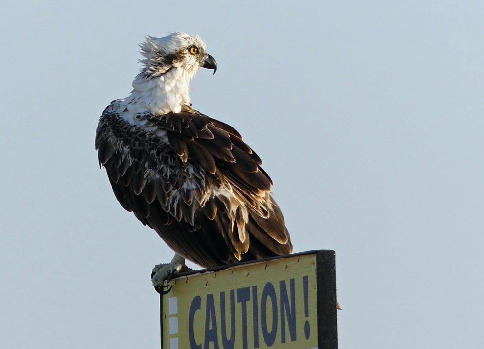 Strand Three Corners Equinox Beach Resort