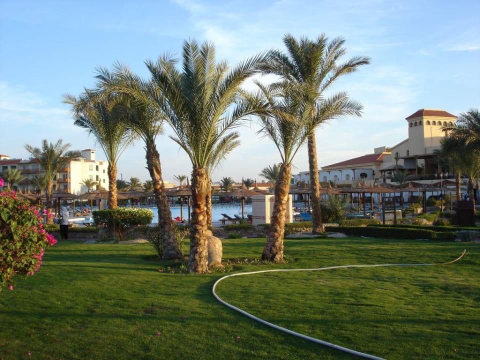 Anlage - Pool Pickalbatros Dana Beach Resort - Hurghada