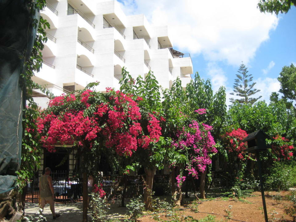 Toller Garten Apollonia Beach Resort & Spa