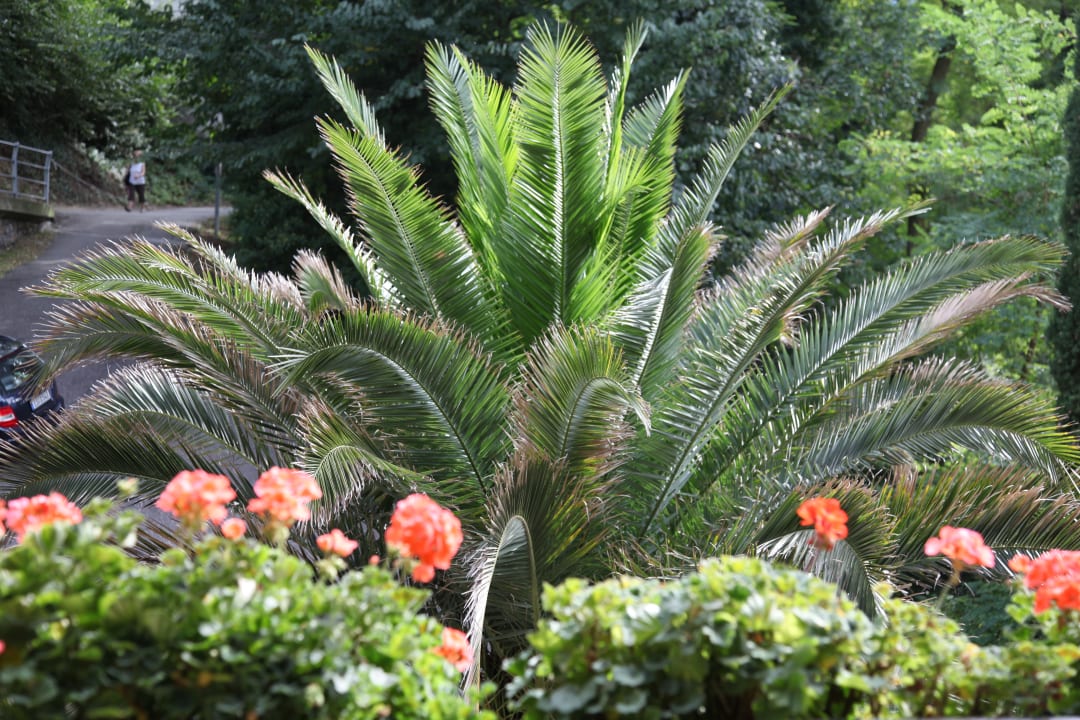 Außenansicht Residence Fischerhof