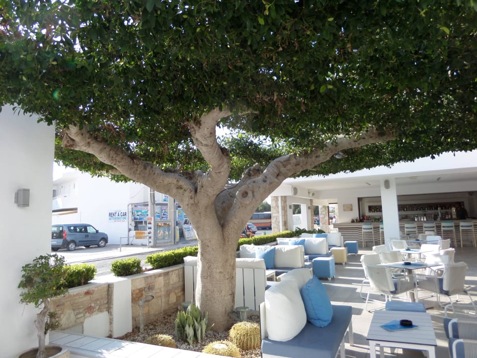 Hotelbar ananea Kos