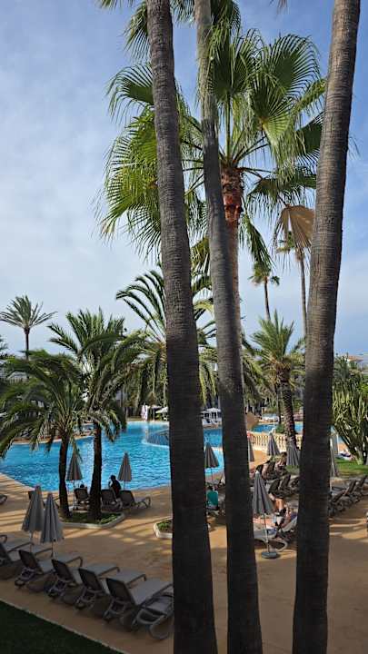 Pool Calimera Fido Gardens