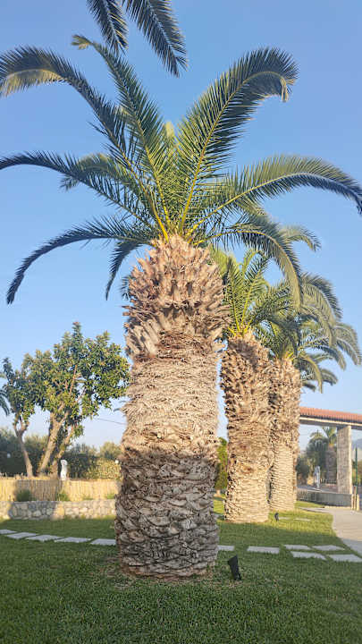 Gartenanlage Corali Hotel